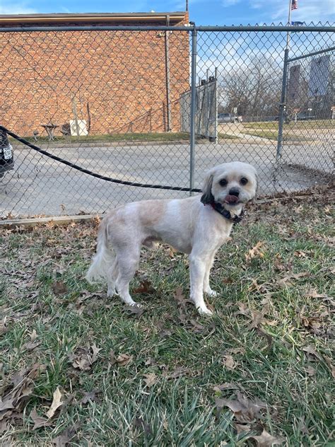 City of Gladstone Animal Control & Shelter .